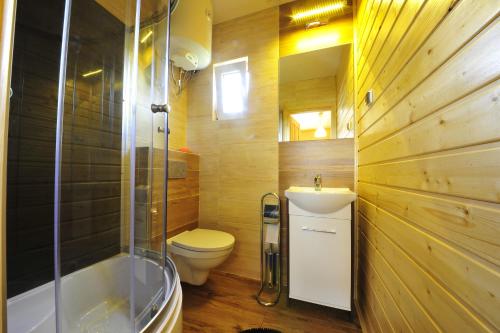 ソリナにあるDomki nad Solinąのバスルーム(トイレ、洗面台、シャワー付)