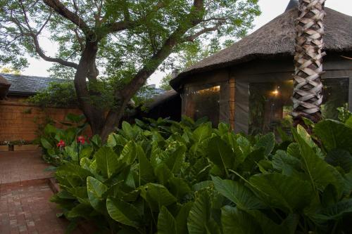 a garden of green plants in front of a house at Bayswater Lodge in Bloemfontein