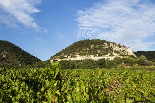 a hill in the middle of a field of crops at Hotellerie du Domaine de Cabasse in Séguret