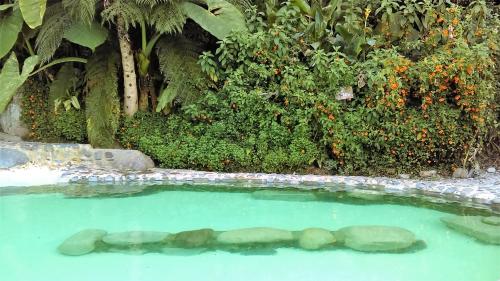 a large pool of water with rocks and trees at Hotel Termales Tierra Viva in Manizales