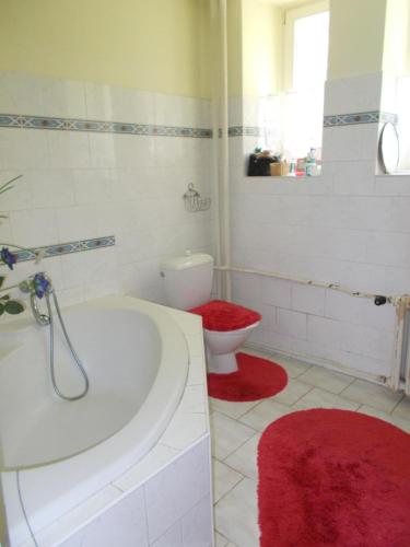 マリアーンスケー・ラーズニェにあるEdwardのバスルーム(バスタブ付)、赤いラグ付きのトイレが備わります。