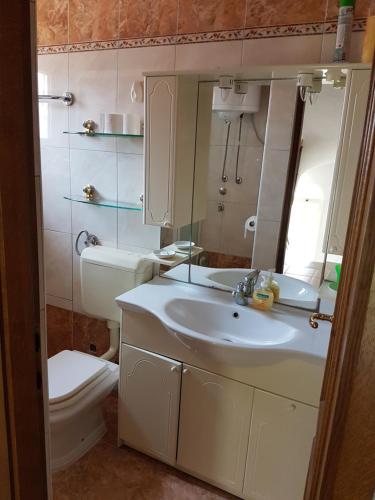 a bathroom with a sink and a toilet and a mirror at Holiday Home Granić in Baška Voda