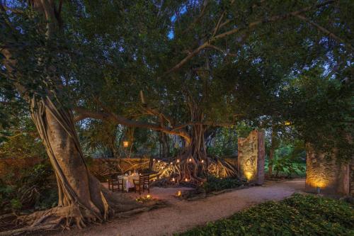 a large tree with tables and chairs under it at Hacienda San Jose Cholul in Tixkokob