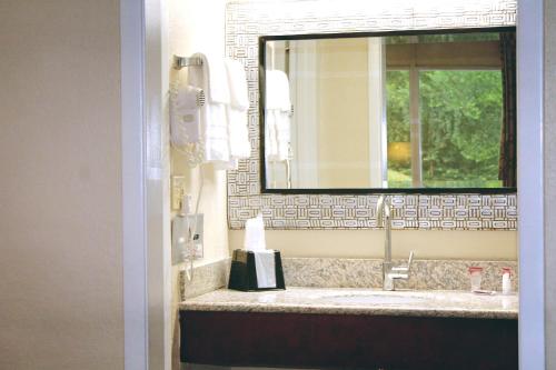 a bathroom with a sink and a mirror at Residence Hub Inn and Suites in Marianna