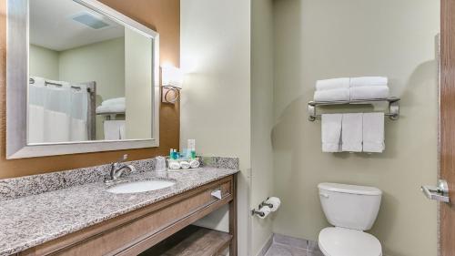 a bathroom with a sink and a toilet and a mirror at Holiday Inn Express & Suites Lubbock Southwest – Wolfforth by IHG in Lubbock