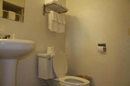 a bathroom with a toilet and a sink at Royal Inn in Mount Vernon