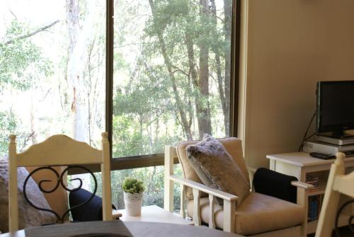 a living room with a large window and a chair at Twin Falls Bush Cottages in Fitzroy Falls