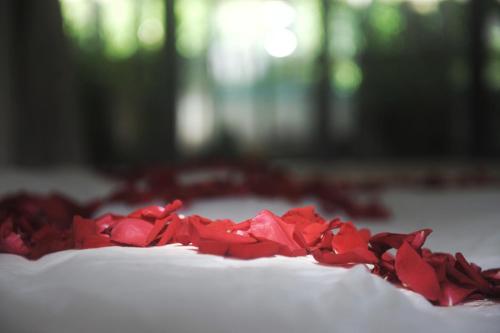 a pile of red rose petals on a cake at Zen Box House in Yangshuo