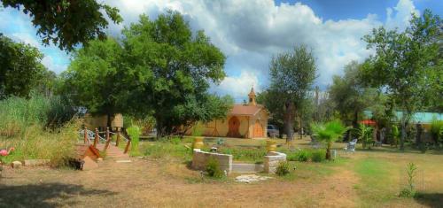una chiesa in un campo alberato e un edificio di Rarumpelpunzeldornaschenwittchen a Fredericksburg