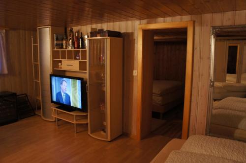 TV a/nebo společenská místnost v ubytování Petit Helvetia Budget Hotel
