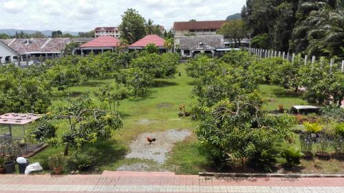 a garden with trees and a bird in the grass at Harum Manis Country House in Kangar