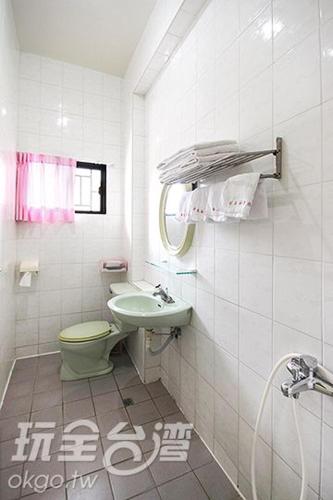 a bathroom with a green toilet and a sink at Reny Lake Warm Hostel in Fanlu