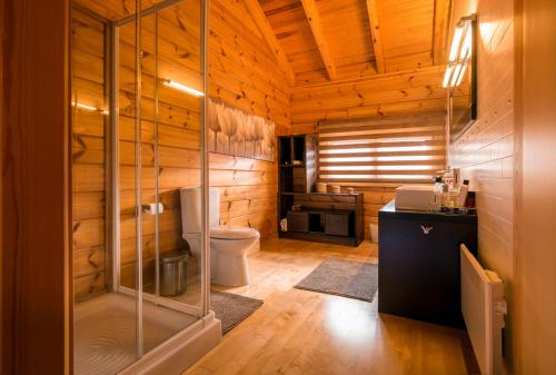 ein Badezimmer mit Toilette und Waschbecken in der Unterkunft Aelia Hospitality Parnassus in Eptalofos