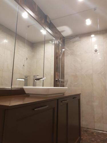 Un baño con lavabo y un espejo grande. en Mieterlux, en Klaipėda
