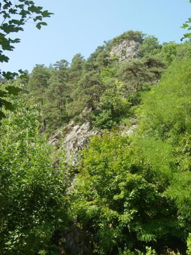 a mountain covered in trees with a blue sky at ADONIS CHAMBRES D'HOTES in Saint-Germain-Laprade