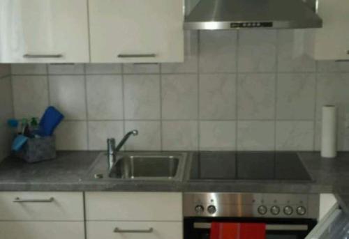 a kitchen with a sink and a counter top at Evelyn Klaeger in Freiburg im Breisgau