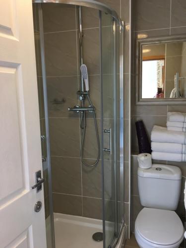 a bathroom with a shower with a toilet at Ashbourne Holiday Homes in Ashbourne