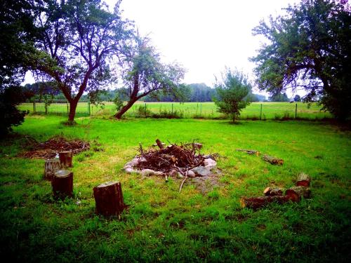 a pile of debris in a field with two trees at Apartamenty Górki Małe in Tuszyn