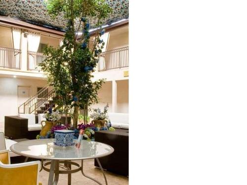 una stanza con un tavolo e un albero e un edificio di L.A. Sky Boutique Hotel a Los Angeles