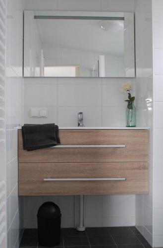 a bathroom with a sink and a mirror at Hotel Chalets Middelburg in Middelburg