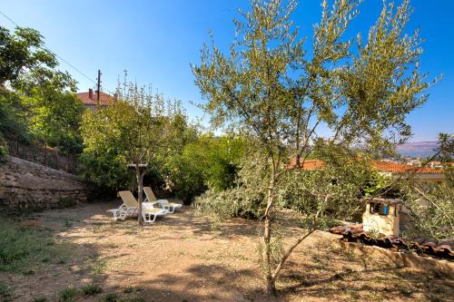 Un jardín fuera de Pirate Backpackers