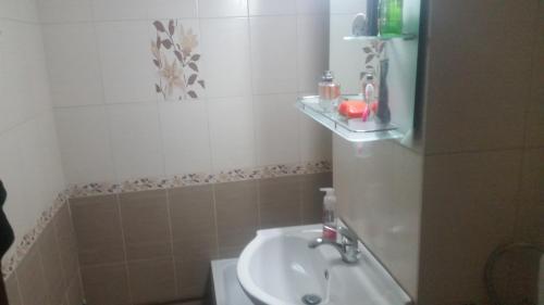 a bathroom with a sink and a bath tub at Sfanta Ecaterina - Garsoniera Alba Iulia in Alba Iulia