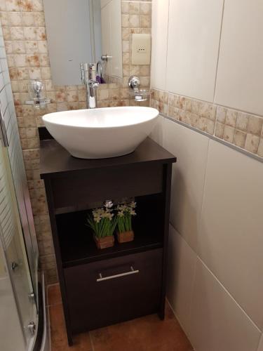 a bathroom with a white sink on a stand with plants at Achiras 1432 in Montevideo