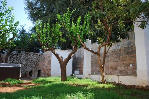 two trees in a yard next to a brick wall at La Dimora della Quercia in Taviano