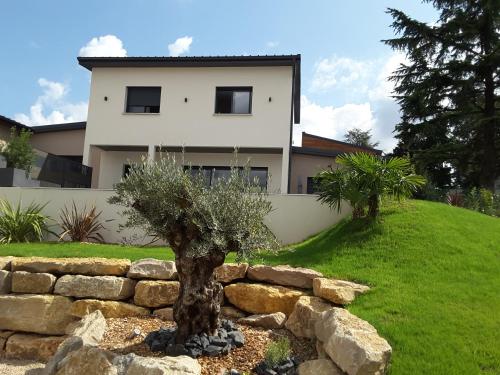 Villa'vi Lyon Est Chambres d'Hôtes في سانت-بريست: منزل به شجرة أمام جدار حجري