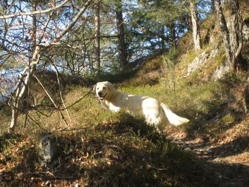 La Casa della Coccinella – Photos 5