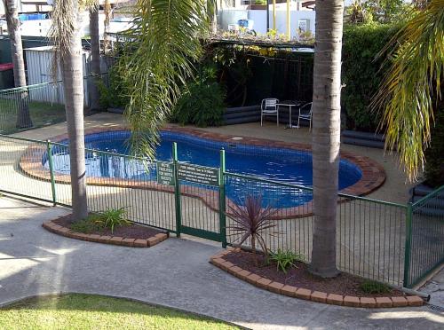 a fence around a swimming pool with palm trees at Tamworth Central Motel in Tamworth