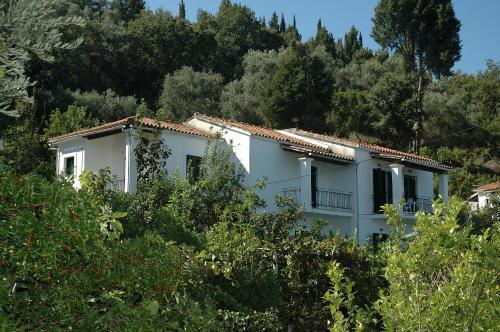 Gallery image of Studios Andreas in Boukari