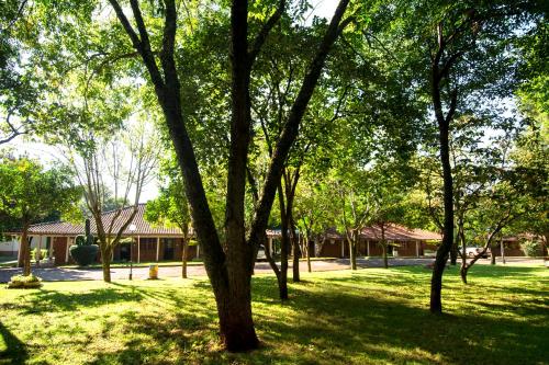 a group of trees in a yard with a house at Hotel Jardim Europa in Ijuí