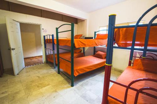 プエルト・バジャルタにあるOasis Hostelの二段ベッド3組と開放ドアが備わる客室です。