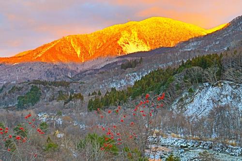 a mountain with red flowers in front of it at Nakao Kogen Hotel Kazaguruma in Takayama