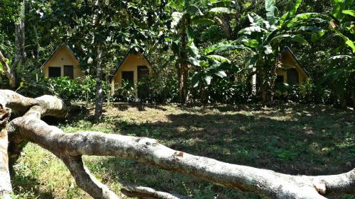 a log in front of a house in a forest at Chalés Sítio do Alemão in Ubajara