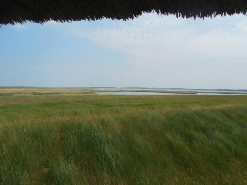Hotel Schlösschen Sundische Wiese Zingst photo 36