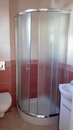 a shower in a bathroom with a toilet and a sink at Pensjonat Basia in Mielno
