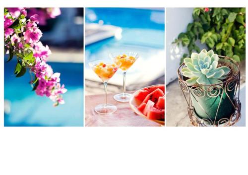 格拉夫-里内特Camdeboo Cottages的一幅由四张带有鲜花和酒杯的图片组成的拼贴画