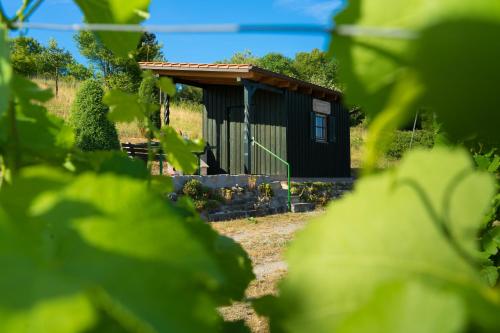 a small black building in a field with green leaves at Landgasthof Zum Stern in Hammelburg- Obererthal