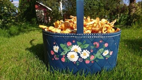 a bucket of french fries in a field of grass at Ängsliden in Charlottenberg