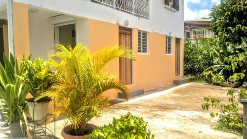 a house with palm trees in front of it at studio sympa in Port-Louis
