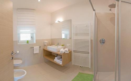 a bathroom with a shower and a sink and a toilet at Gutshof Rellich in Termeno