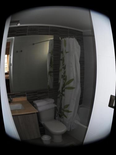 uma casa de banho com um WC, um lavatório e um espelho. em Departamento en Ñuñoa em Santiago
