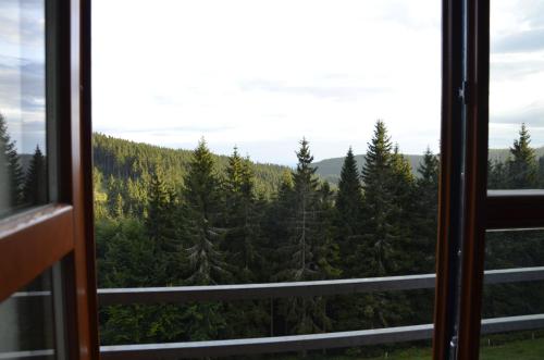 a window view of a forest of trees at Apartmán v Srdci Hor Cihlářka in Pec pod Sněžkou
