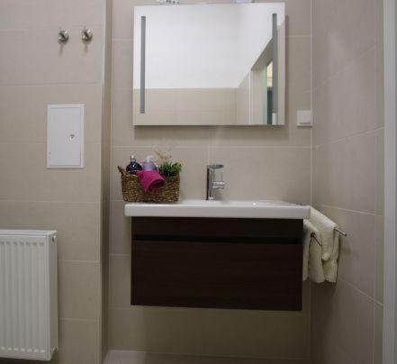 維也納的住宿－Kurzzeit-Apartment Nussdorf，一间带水槽和镜子的浴室