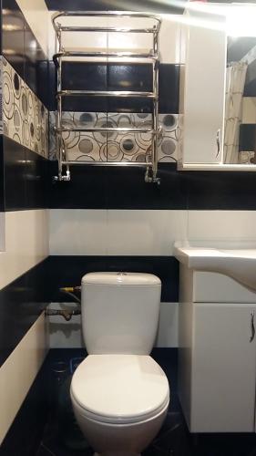 a bathroom with a white toilet and a sink at Villa L'vovskaia in Truskavets