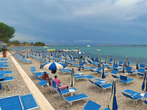Φυσικό τοπίο κοντά σε αυτό το διαμέρισμα