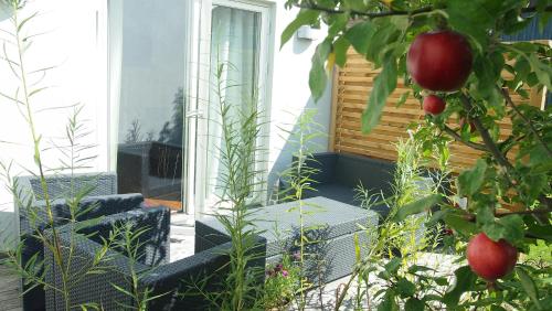 a garden with some plants and a building at The Garden House in Lund