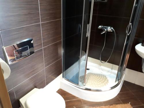 baño con ducha y puerta de cristal en Apartamenty Otylka, en Wisełka